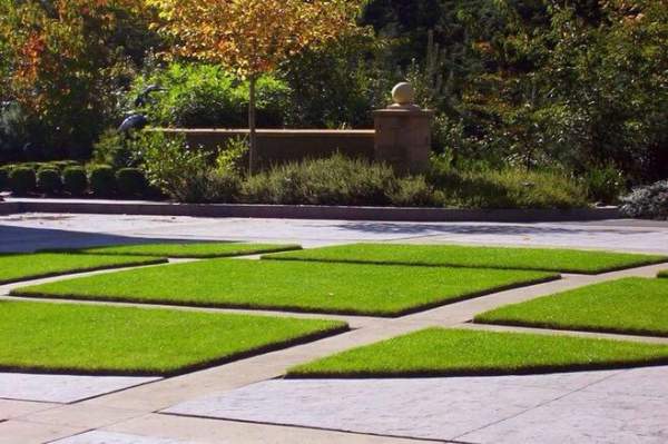 草坪設(shè)計(jì)應(yīng)用 草坪設(shè)計(jì)應(yīng)用