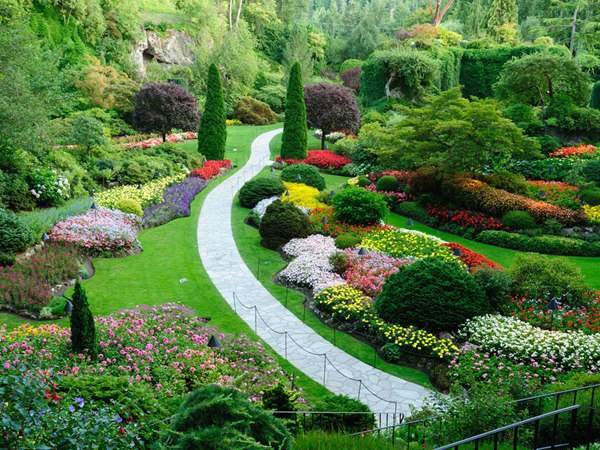 綠化苗木企業如何發展壯大