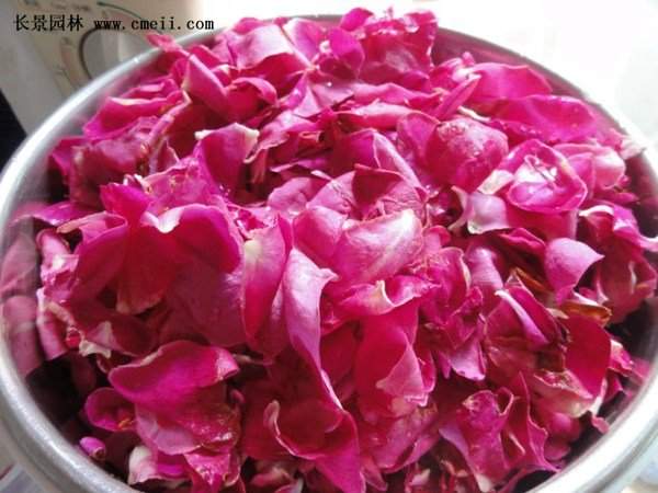 物美價(jià)廉的食用玫瑰在哪買(mǎi)？