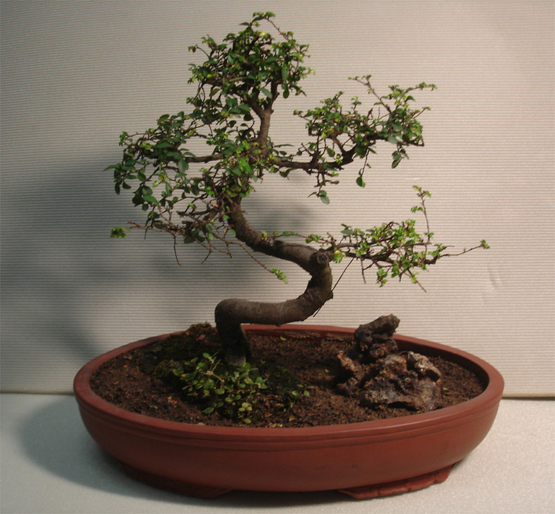 1648545569114286.jpg 1648545569114286.jpg