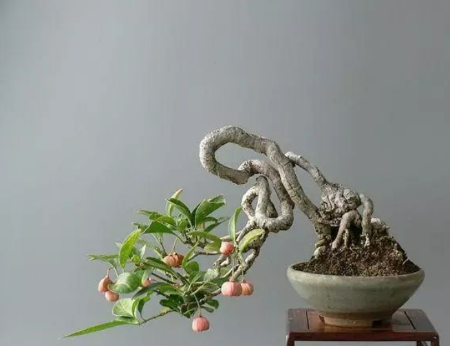 1648545816107144.png 1648545816107144.png