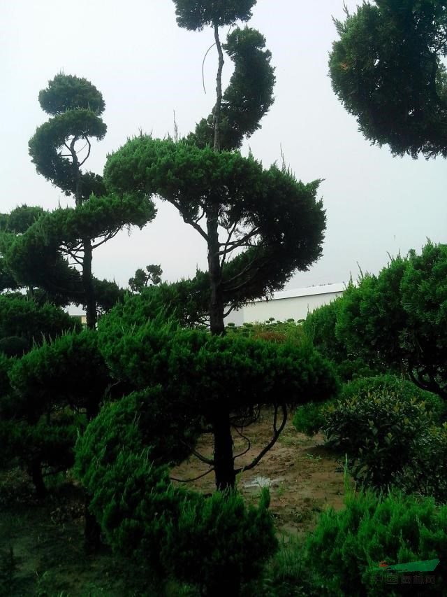 1648546287756122.jpg 1648546287756122.jpg