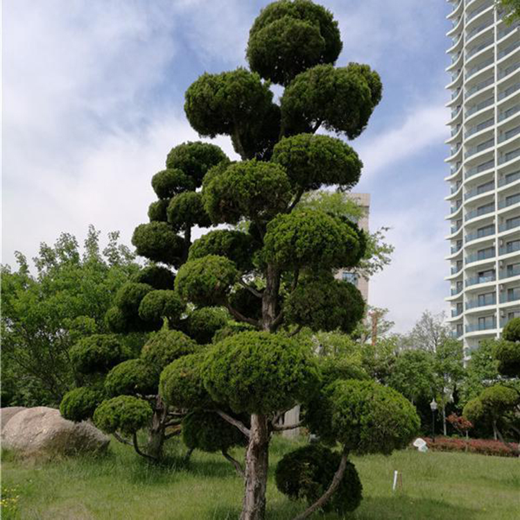 1648546511408384.jpg 1648546511408384.jpg