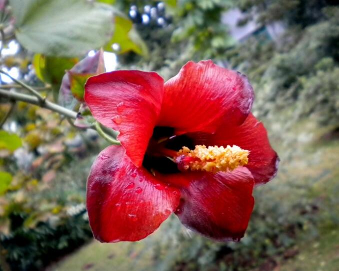 1650251165325470.jpg 1650251165325470.jpg