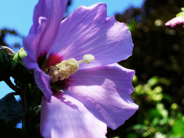 1650770761723045.jpg 1650770761723045.jpg