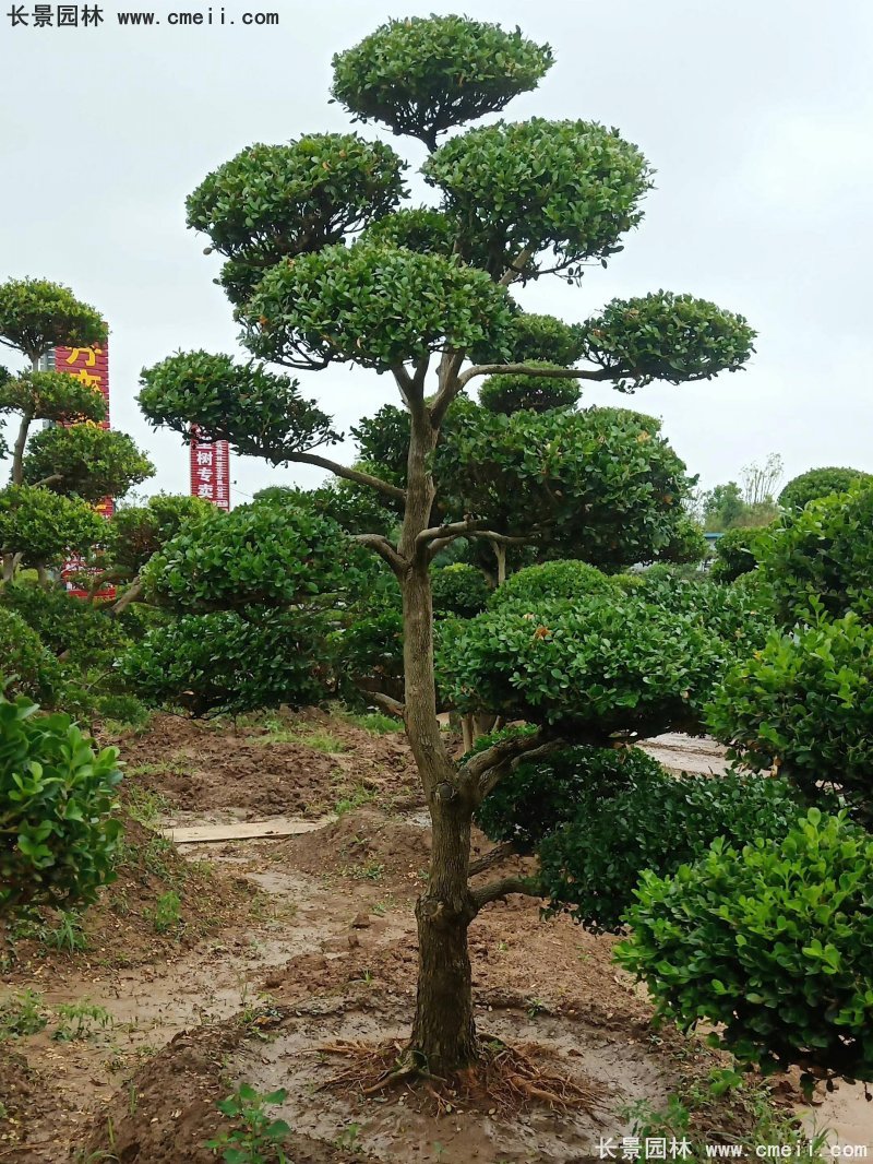 1662088068139291.jpg 1658287657638064.jpg