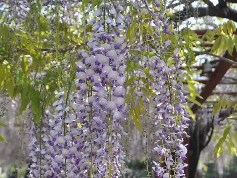 1673082021604652.jpg 微信圖片_20220818221324.jpg