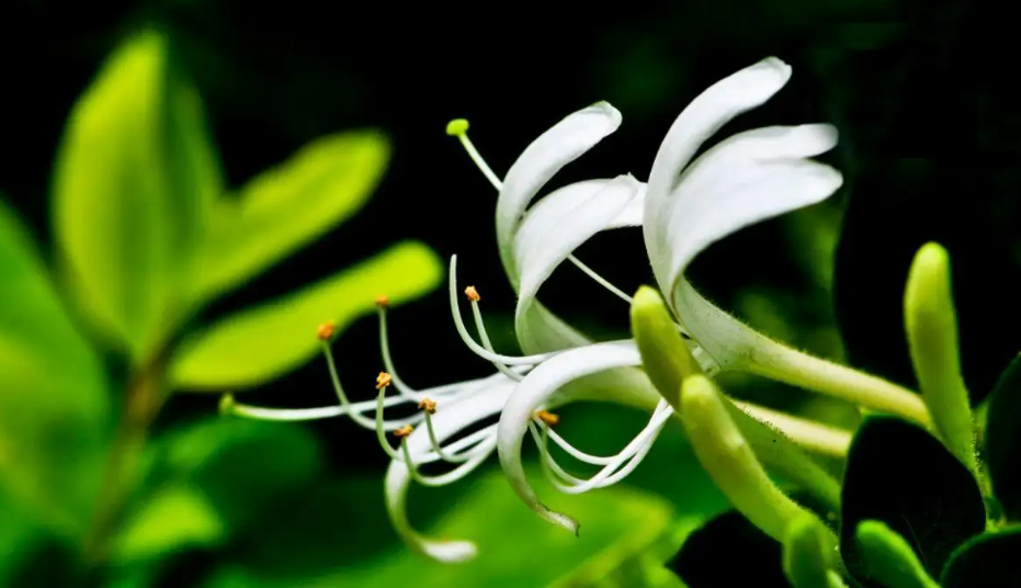 1673082547345515.png 微信圖片_20230107170842.png