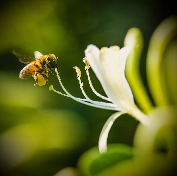 1673082557677157.png 微信圖片_20230107170832.png