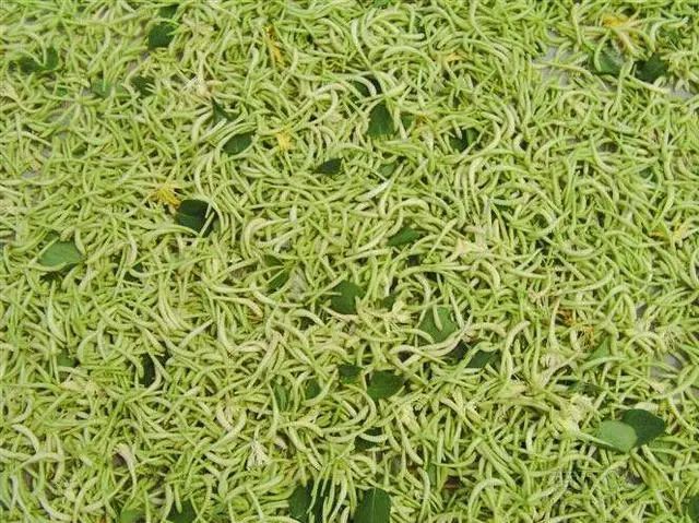 1673082567177781.jpg 微信圖片_20221104183632.jpg