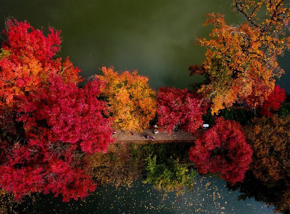 1673082931991890.jpg 微信圖片_20230107171416.jpg