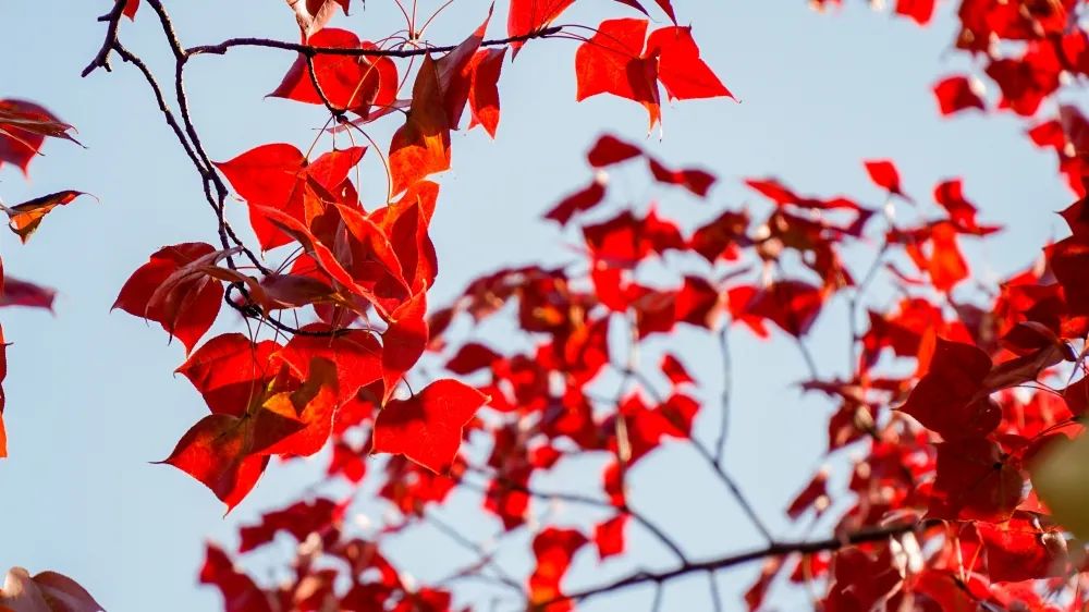 1673082947883074.jpg 微信圖片_20230107171438.jpg