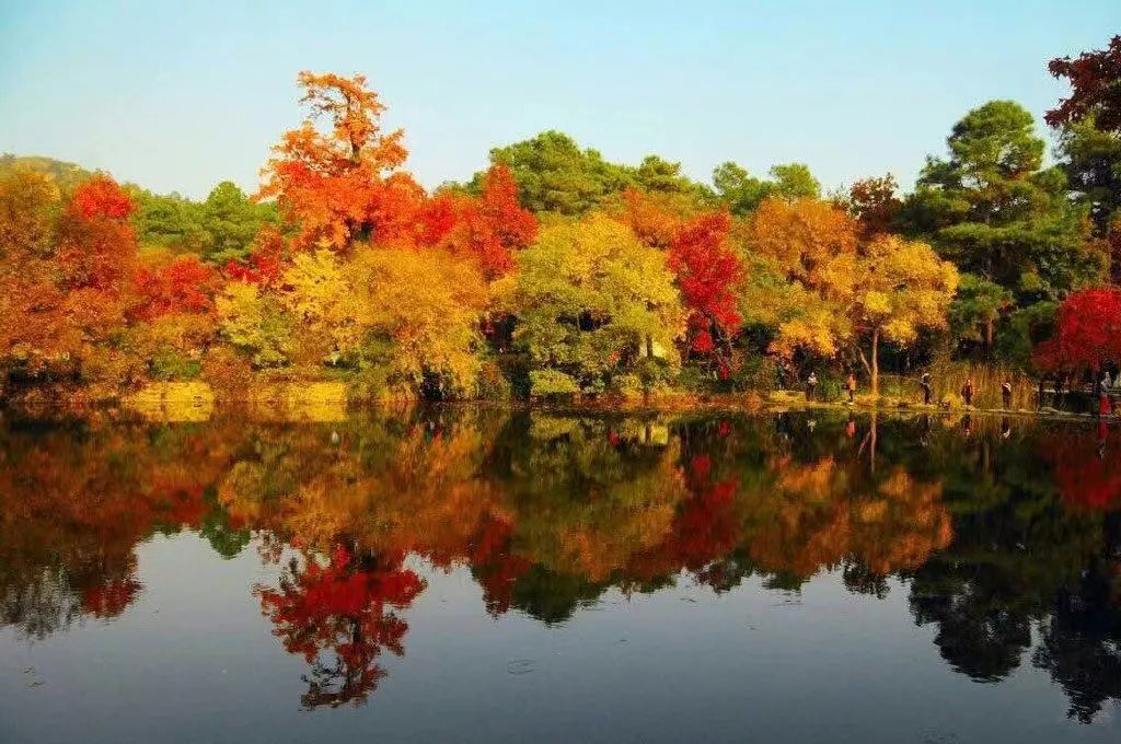 1673082953227825.jpg 微信圖片_20230107171501.jpg