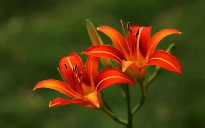 1673151818285227.jpg 微信圖片_20230108122304.jpg