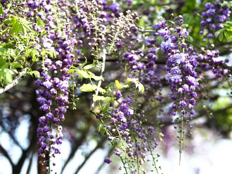 1673151883926427.jpg 微信圖片_20220818221249.jpg