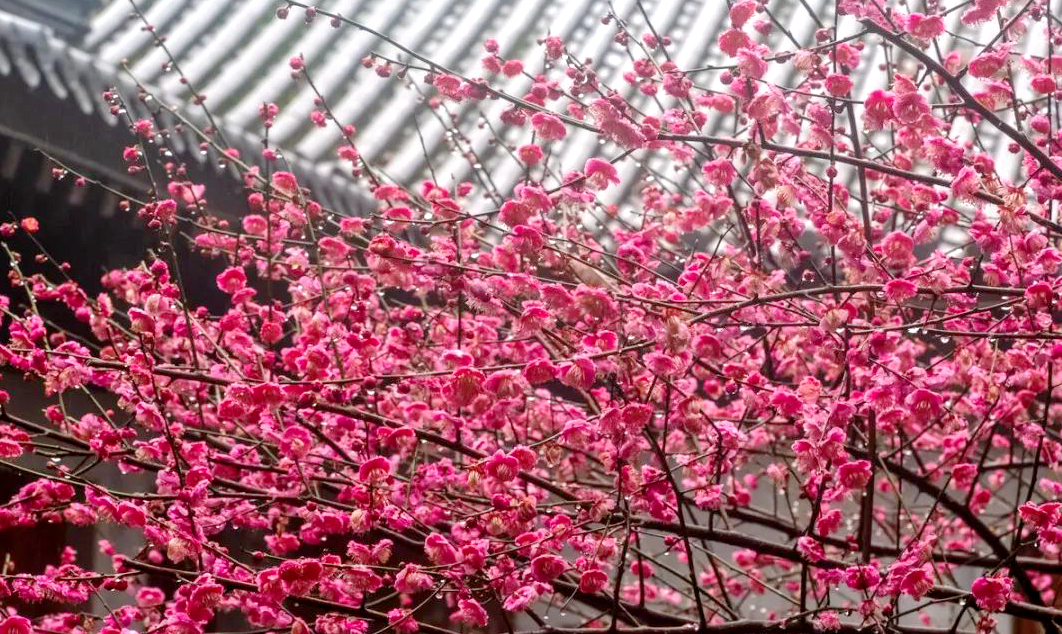 1673153008386535.jpg 微信圖片_20230108124128.jpg