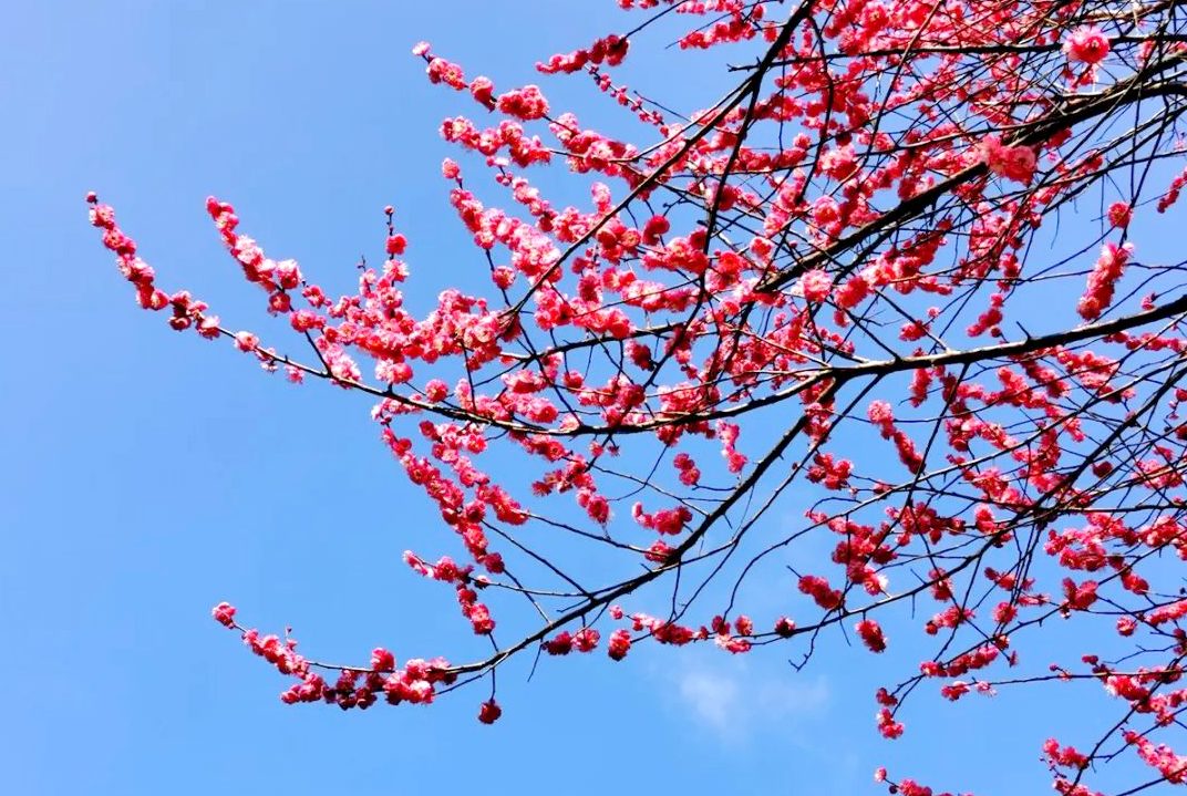 1673153015541931.jpg 微信圖片_20230108124130.jpg